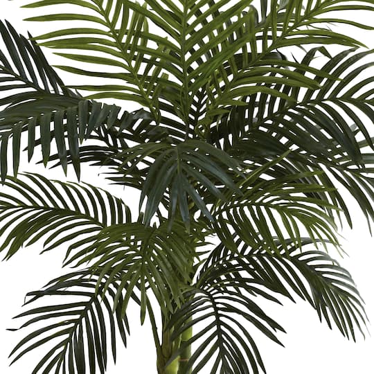 4ft. Potted Golden Cane Palm Tree